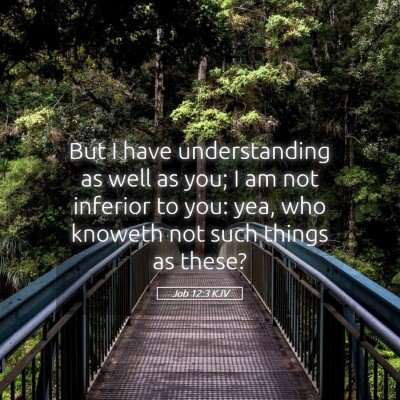 Picture 05 - Job 12:3 KJV - But I have understanding as well as you; I am not - Bible Verse Picture