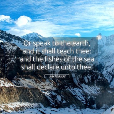 Picture 05 - Job 12:8 KJV - Or speak to the earth, and it shall teach thee: - Bible Verse Picture