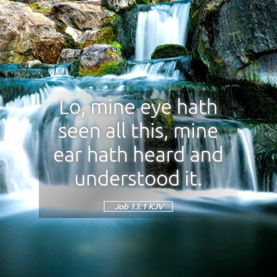 Picture 05 - Job 13:1 KJV - Lo, mine eye hath seen all this, mine ear hath - Bible Verse Picture