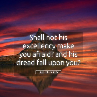Picture 05 - Job 13:11 KJV - Shall not his excellency make you afraid? and his - Bible Verse Picture
