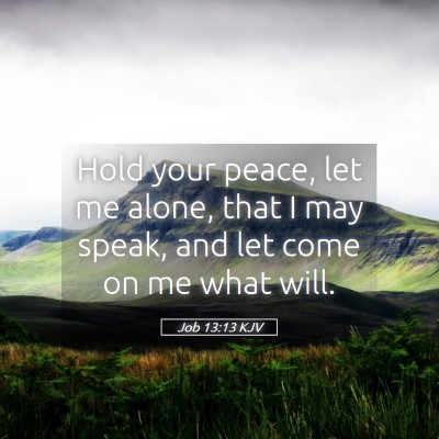 Picture 05 - Job 13:13 KJV - Hold your peace, let me alone, that I may speak, - Bible Verse Picture
