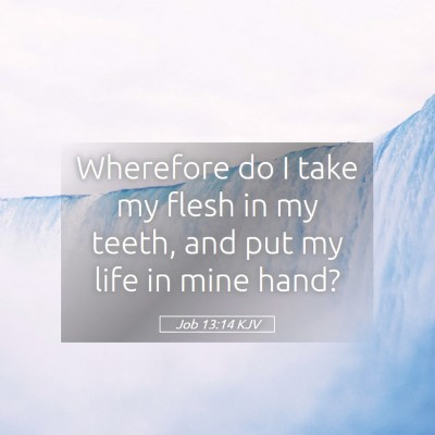 Picture 05 - Job 13:14 KJV - Wherefore do I take my flesh in my teeth, and put - Bible Verse Picture