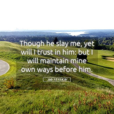 Picture 05 - Job 13:15 KJV - Though he slay me, yet will I trust in him: but I - Bible Verse Picture