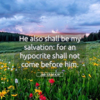 Picture 05 - Job 13:16 KJV - He also shall be my salvation: for an hypocrite - Bible Verse Picture