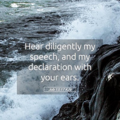 Picture 05 - Job 13:17 KJV - Hear diligently my speech, and my declaration - Bible Verse Picture