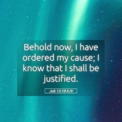 Picture 05 - Job 13:18 KJV - Behold now, I have ordered my cause; I know that - Bible Verse Picture