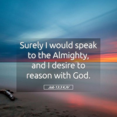 Picture 05 - Job 13:3 KJV - Surely I would speak to the Almighty, and I - Bible Verse Picture