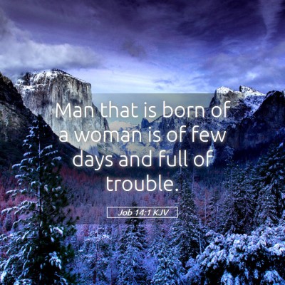 Picture 05 - Job 14:1 KJV - Man that is born of a woman is of few days and - Bible Verse Picture