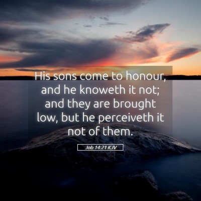 Picture 05 - Job 14:21 KJV - His sons come to honour, and he knoweth it not; - Bible Verse Picture