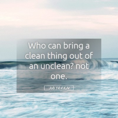 Picture 05 - Job 14:4 KJV - Who can bring a clean thing out of an unclean? - Bible Verse Picture