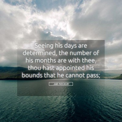 Picture 05 - Job 14:5 KJV - Seeing his days are determined, the number of his - Bible Verse Picture