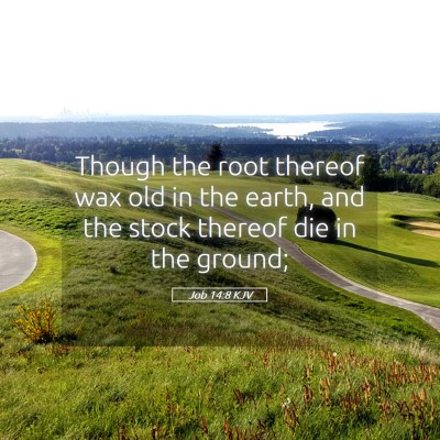 Picture 05 - Job 14:8 KJV - Though the root thereof wax old in the earth, and - Bible Verse Picture