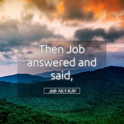 Picture 05 - Job 16:1 KJV - Then Job answered and - Bible Verse Picture