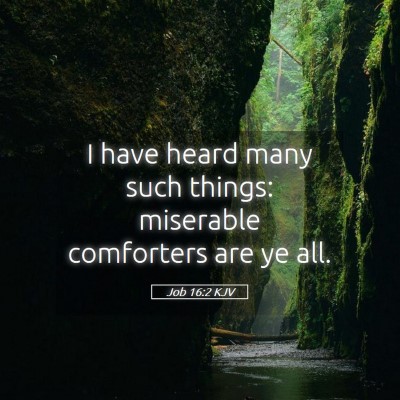 Picture 05 - Job 16:2 KJV - I have heard many such things: miserable - Bible Verse Picture