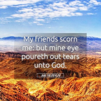 Picture 05 - Job 16:20 KJV - My friends scorn me: but mine eye poureth out - Bible Verse Picture