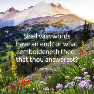 Picture 05 - Job 16:3 KJV - Shall vain words have an end? or what emboldeneth - Bible Verse Picture