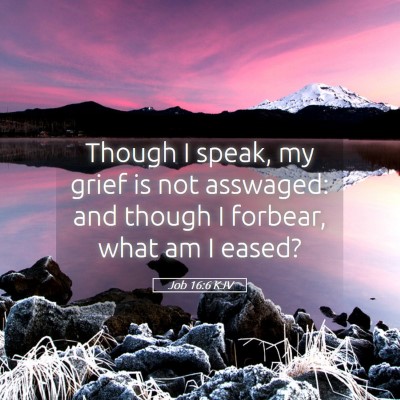 Picture 05 - Job 16:6 KJV - Though I speak, my grief is not asswaged: and - Bible Verse Picture