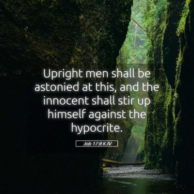 Picture 05 - Job 17:8 KJV - Upright men shall be astonied at this, and the - Bible Verse Picture