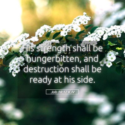 Picture 05 - Job 18:12 KJV - His strength shall be hungerbitten, and - Bible Verse Picture