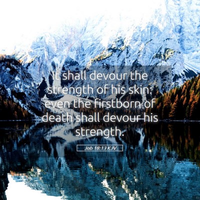 Picture 05 - Job 18:13 KJV - It shall devour the strength of his skin: even - Bible Verse Picture