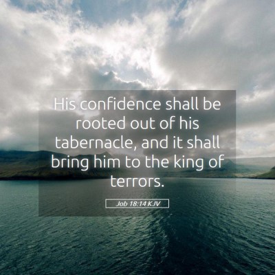Picture 05 - Job 18:14 KJV - His confidence shall be rooted out of his - Bible Verse Picture