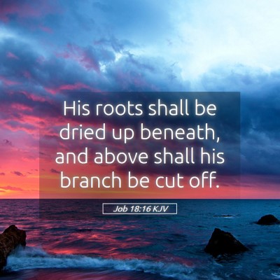 Picture 05 - Job 18:16 KJV - His roots shall be dried up beneath, and above - Bible Verse Picture