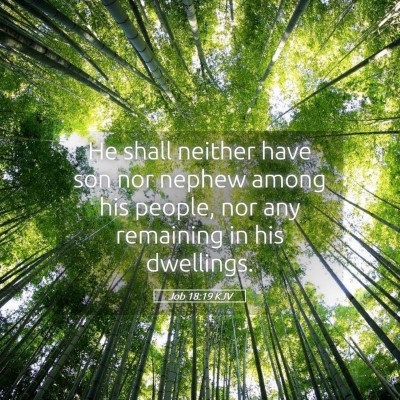 Picture 05 - Job 18:19 KJV - He shall neither have son nor nephew among his - Bible Verse Picture