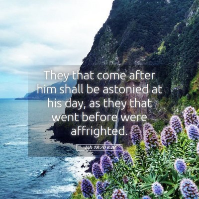 Picture 05 - Job 18:20 KJV - They that come after him shall be astonied at his - Bible Verse Picture