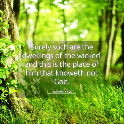Picture 05 - Job 18:21 KJV - Surely such are the dwellings of the wicked, and - Bible Verse Picture