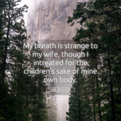 Picture 05 - Job 19:17 KJV - My breath is strange to my wife, though I - Bible Verse Picture