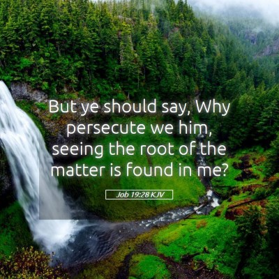 Picture 05 - Job 19:28 KJV - But ye should say, Why persecute we him, seeing - Bible Verse Picture