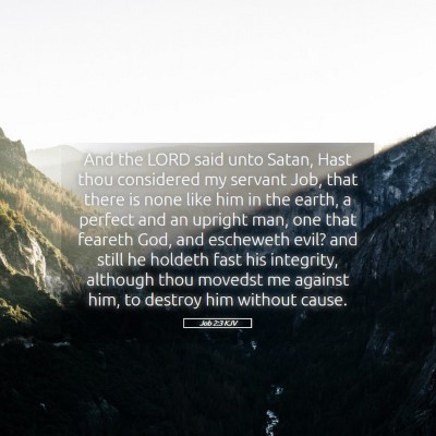 Picture 05 - Job 2:3 KJV - And the LORD said unto Satan, Hast thou - Bible Verse Picture