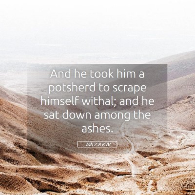 Picture 05 - Job 2:8 KJV - And he took him a potsherd to scrape himself - Bible Verse Picture