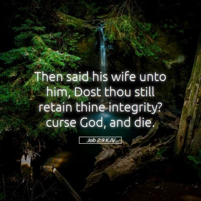 Picture 05 - Job 2:9 KJV - Then said his wife unto him, Dost thou still - Bible Verse Picture