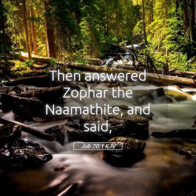 Picture 05 - Job 20:1 KJV - Then answered Zophar the Naamathite, and - Bible Verse Picture