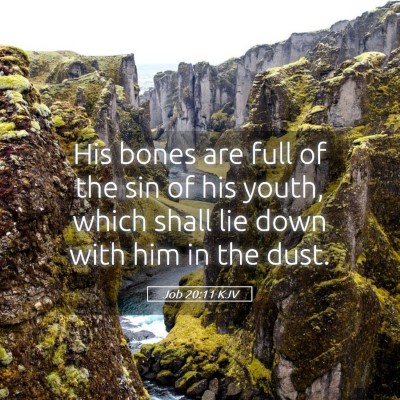 Picture 05 - Job 20:11 KJV - His bones are full of the sin of his youth, which - Bible Verse Picture