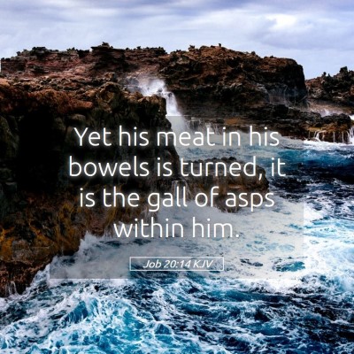 Picture 05 - Job 20:14 KJV - Yet his meat in his bowels is turned, it is the - Bible Verse Picture