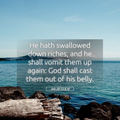Picture 05 - Job 20:15 KJV - He hath swallowed down riches, and he shall vomit - Bible Verse Picture