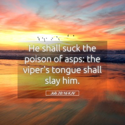 Picture 05 - Job 20:16 KJV - He shall suck the poison of asps: the viper's - Bible Verse Picture