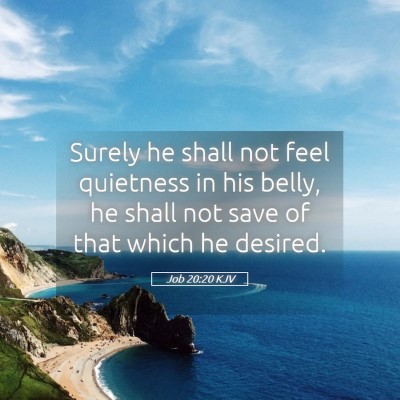 Picture 05 - Job 20:20 KJV - Surely he shall not feel quietness in his belly, - Bible Verse Picture
