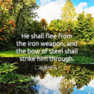 Picture 05 - Job 20:24 KJV - He shall flee from the iron weapon, and the bow - Bible Verse Picture