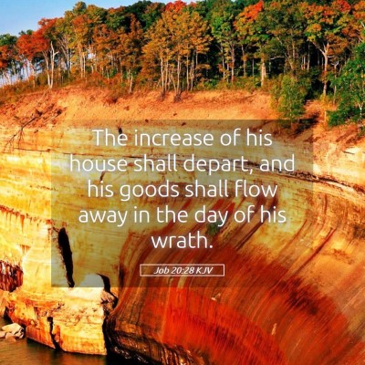 Picture 05 - Job 20:28 KJV - The increase of his house shall depart, and his - Bible Verse Picture
