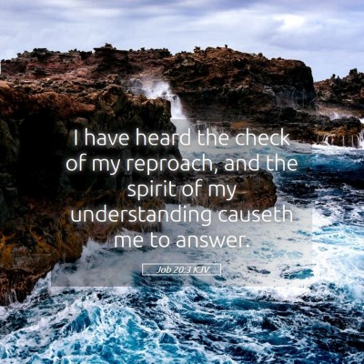 Picture 05 - Job 20:3 KJV - I have heard the check of my reproach, and the - Bible Verse Picture