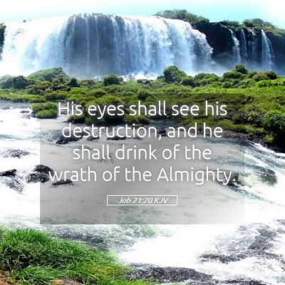 Picture 05 - Job 21:20 KJV - His eyes shall see his destruction, and he shall - Bible Verse Picture