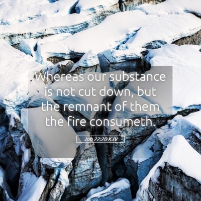 Picture 05 - Job 22:20 KJV - Whereas our substance is not cut down, but the - Bible Verse Picture