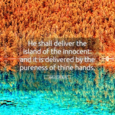 Picture 05 - Job 22:30 KJV - He shall deliver the island of the innocent: and - Bible Verse Picture