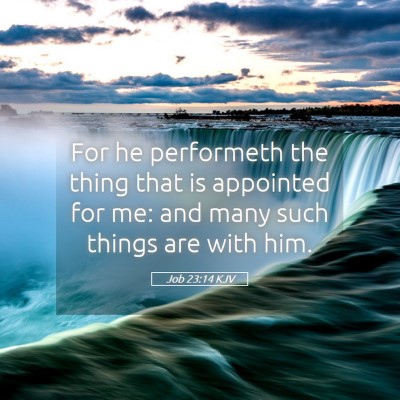 Picture 05 - Job 23:14 KJV - For he performeth the thing that is appointed for - Bible Verse Picture
