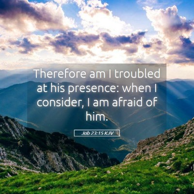 Picture 05 - Job 23:15 KJV - Therefore am I troubled at his presence: when I - Bible Verse Picture