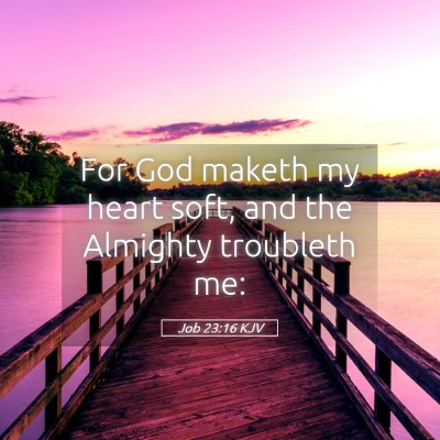 Picture 05 - Job 23:16 KJV - For God maketh my heart soft, and the Almighty - Bible Verse Picture