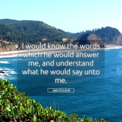 Picture 05 - Job 23:5 KJV - I would know the words which he would answer me, - Bible Verse Picture